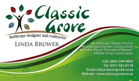 Business Card Business Card