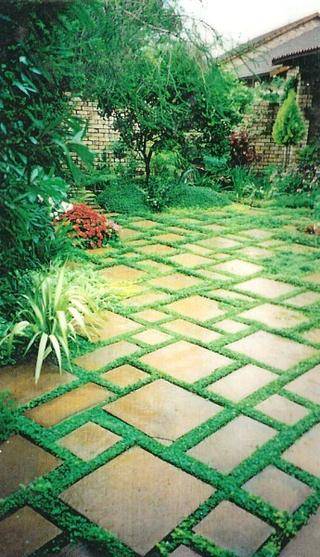 Pavers