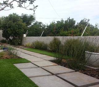 after planting 600 x 530