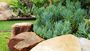 landscaping-low-maintenance-gardens-port-elizabeth